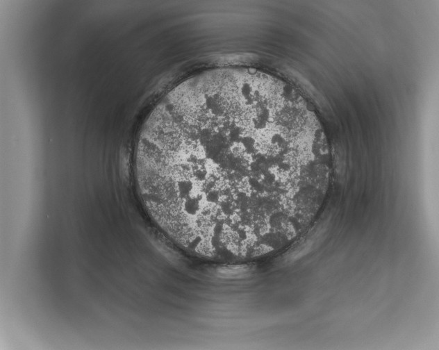X0000110920357200907161524