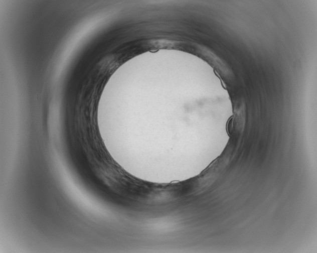 X0000110920381200907161524