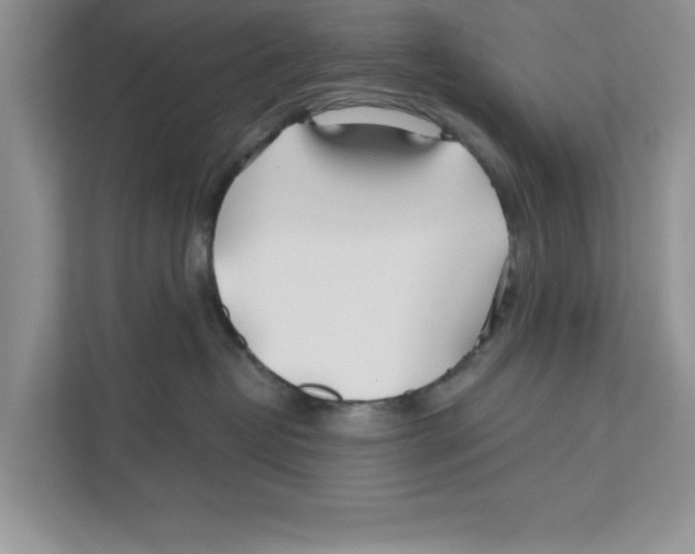 X0000110920382200907161524