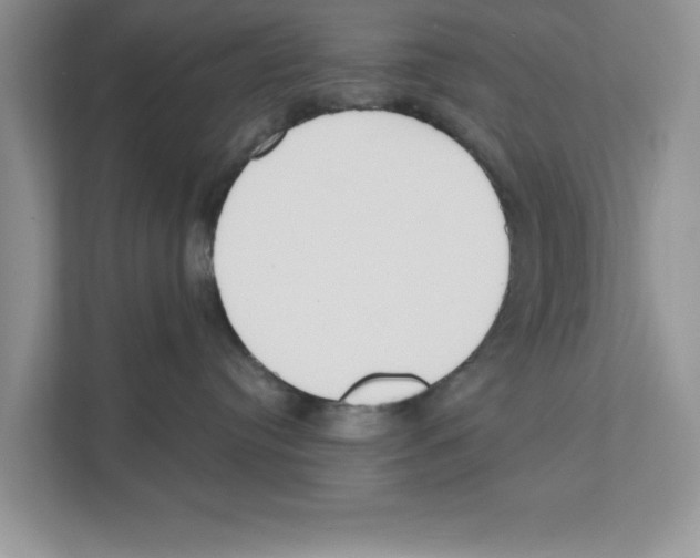 X0000110920384200907161524