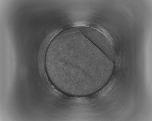X0000110920385200907161523