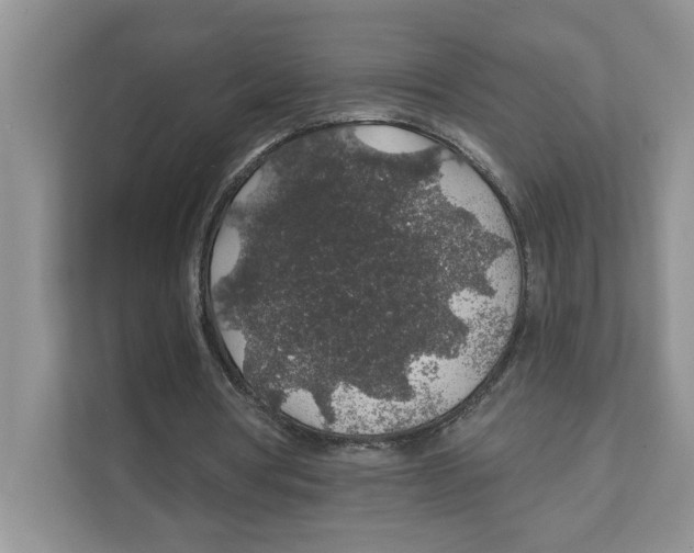 X0000110920386200907161523