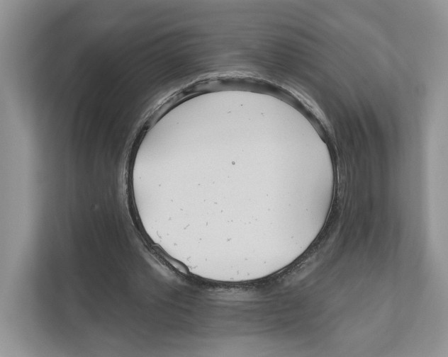 X0000110920389200907161523