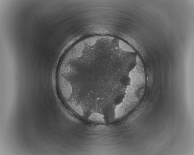 X0000110920390200907161523