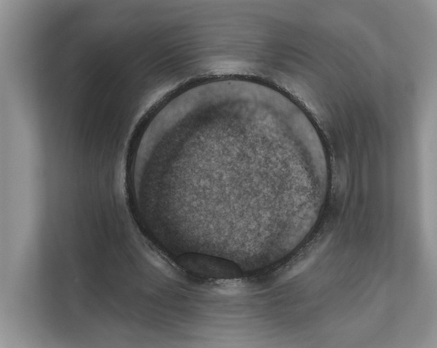 X0000110920391200907161523