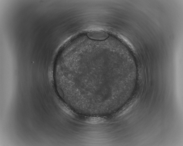 X0000110920399200907161523