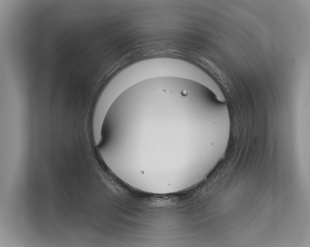X0000110920405200907161523