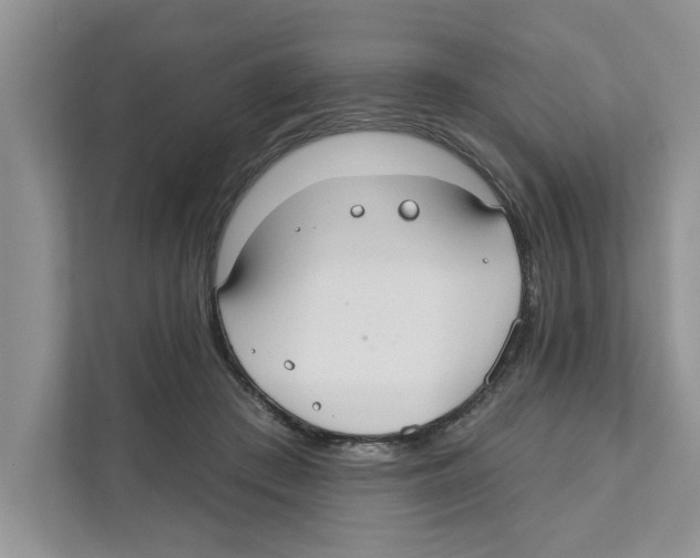 X0000110920409200907161523