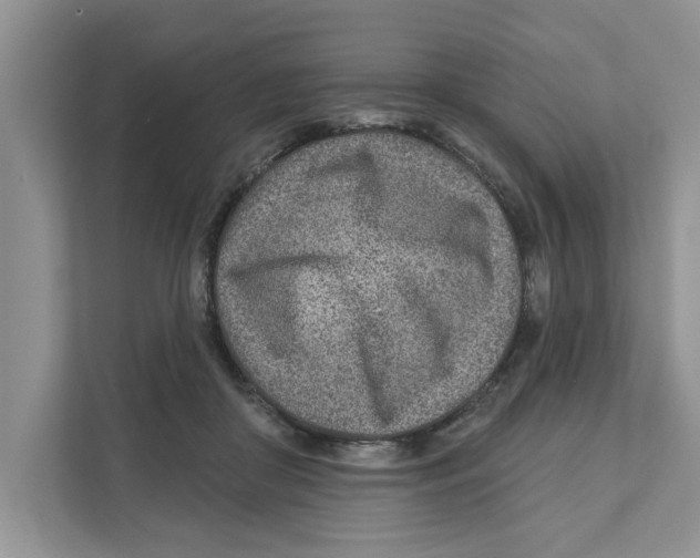 X0000110920410200907161523