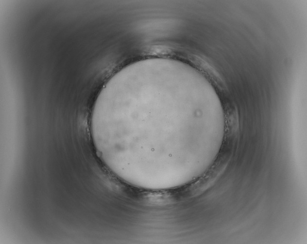 X0000110920415200907161523
