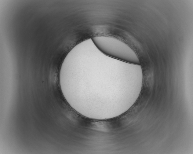 X0000110920417200907161523