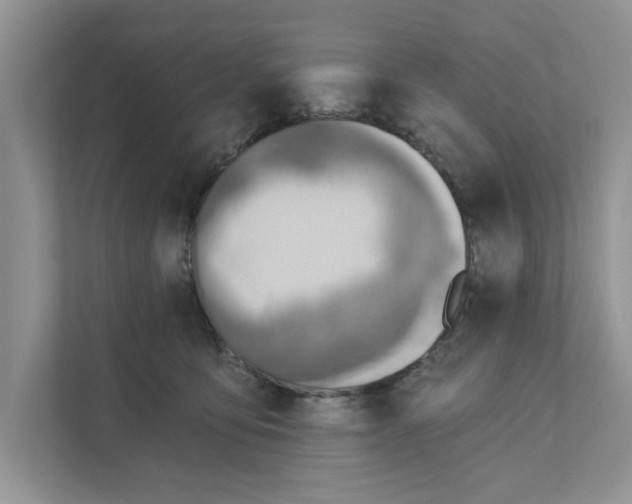 X0000110920419200907161523