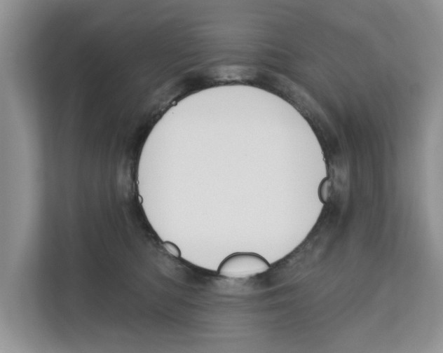 X0000110920422200907161523