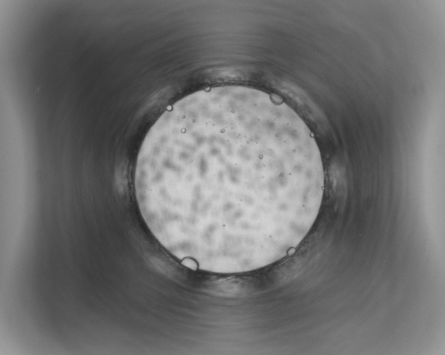 X0000110920423200907161523