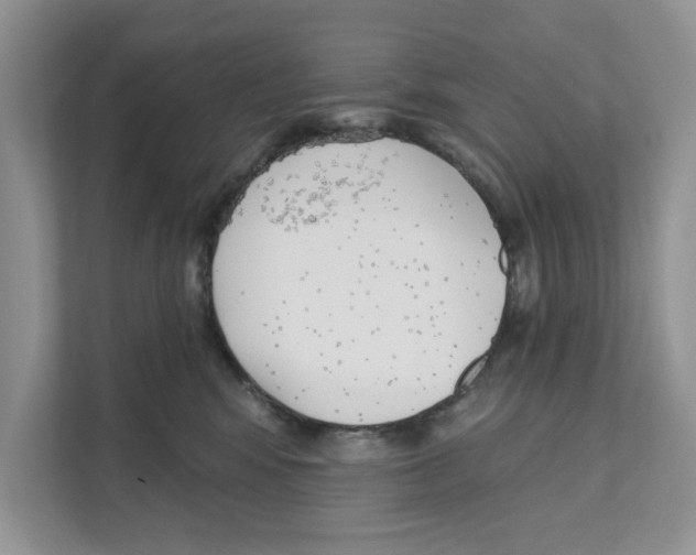 X0000110920424200907161523