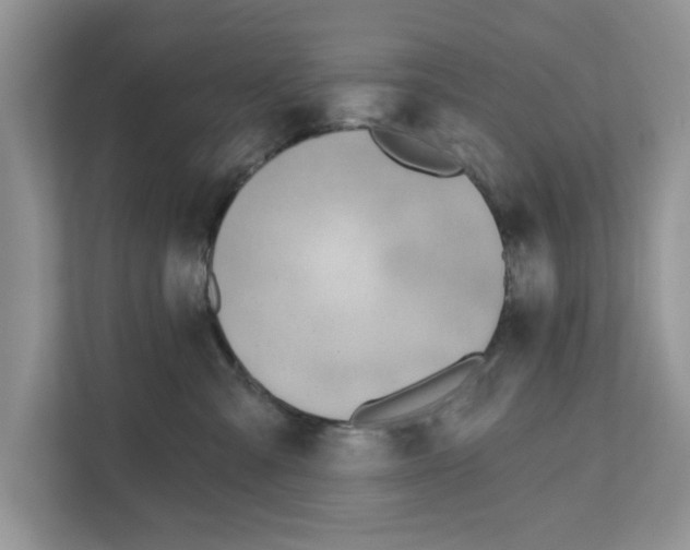 X0000110920427200907161523