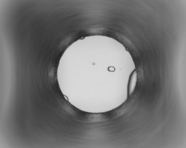 X0000110920428200907161523