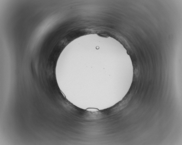 X0000110920429200907161523