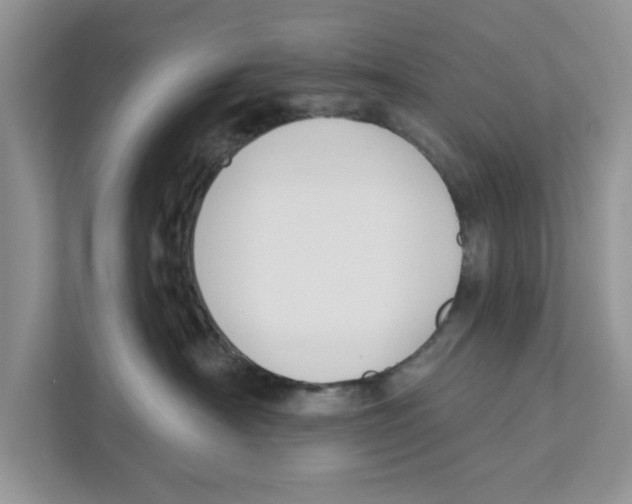 X0000110920430200907161523