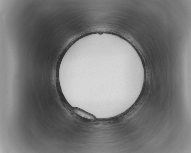 X0000110920434200907161522