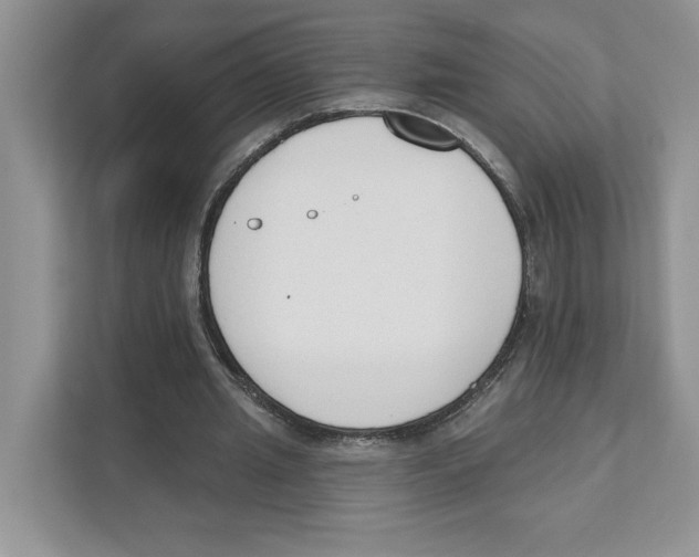 X0000110920437200907161522