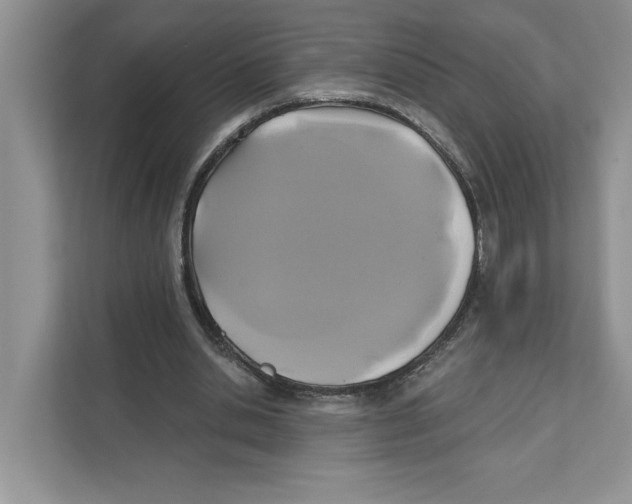 X0000110920438200907161522