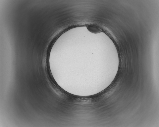 X0000110920443200907161522