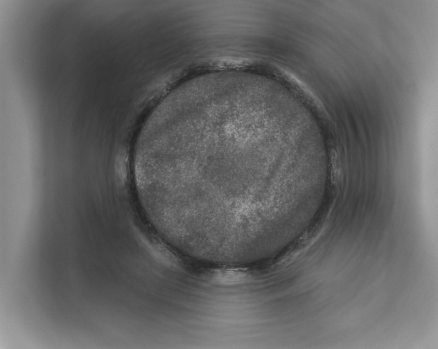 X0000110920451200907161522