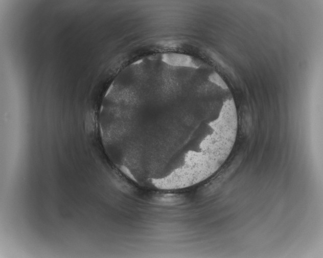 X0000110920467200907161523