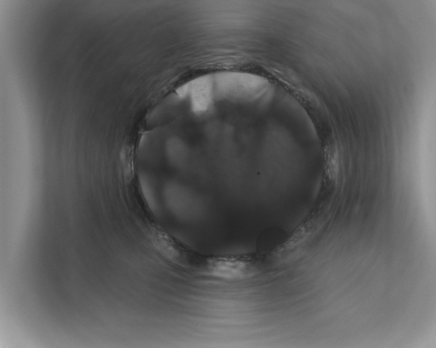 X0000110920471200907161523