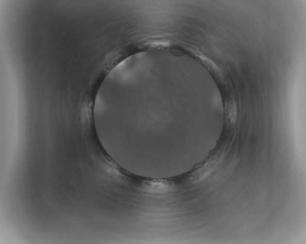 X0000110920475200907161523