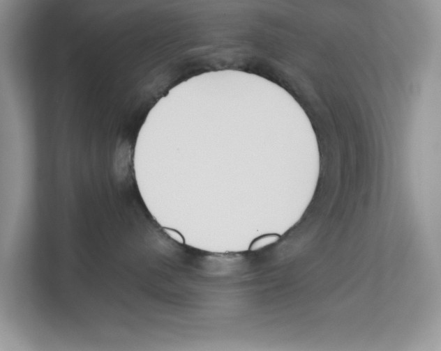 X0000110920480200907161523
