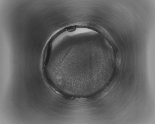 X0000110920484200907161522