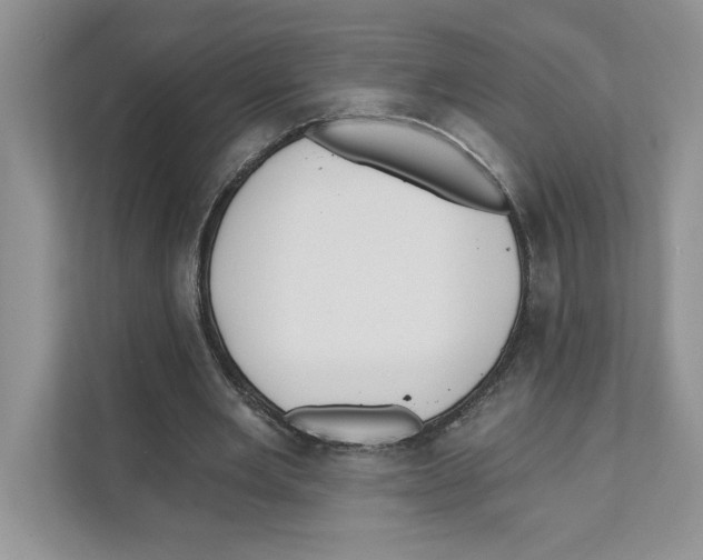 X0000110920485200907161522