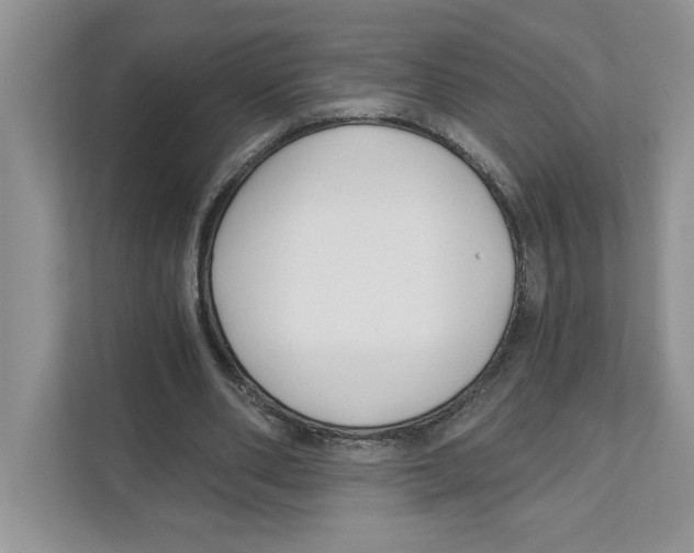 X0000110920486200907161522