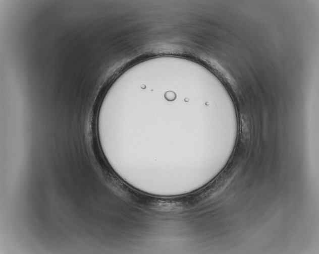 X0000110920487200907161522