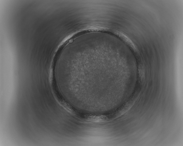 X0000110920488200907161522