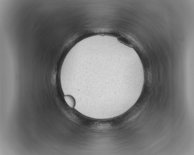 X0000110920491200907161522