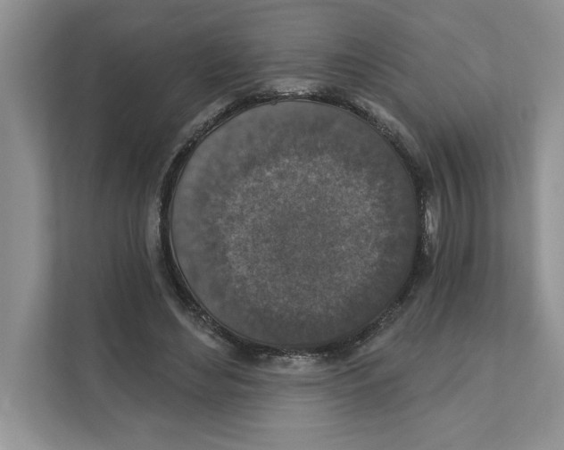 X0000110920492200907161522