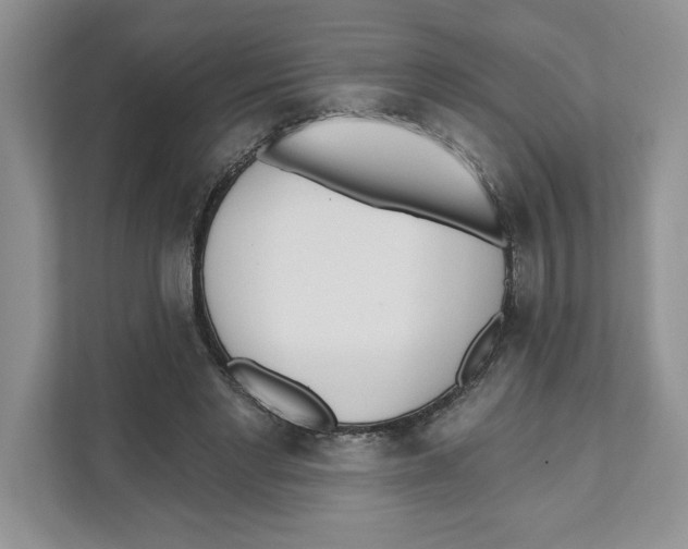 X0000110920493200907161522