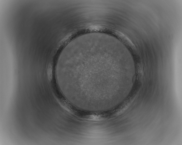 X0000110920496200907161522