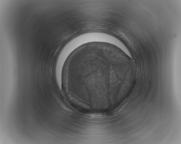 X0000110920500200907161522