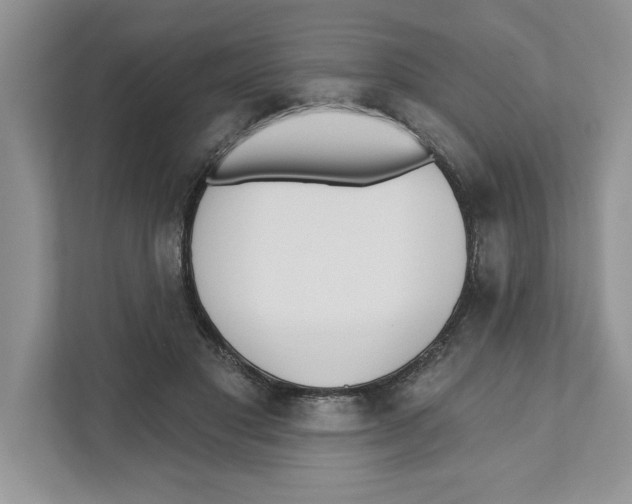 X0000110920501200907161522