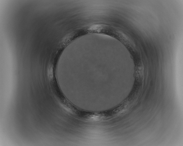 X0000110920504200907161522