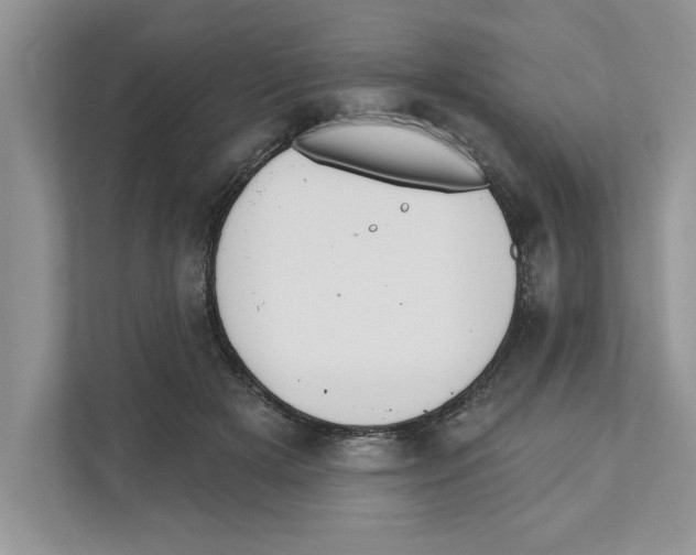X0000110920505200907161522