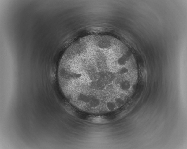 X0000110920507200907161522