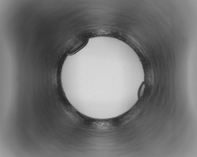 X0000110920512200907161522