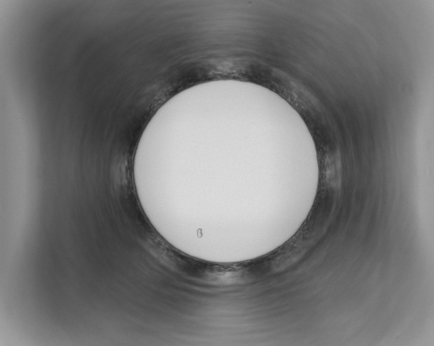 X0000110920514200907161522