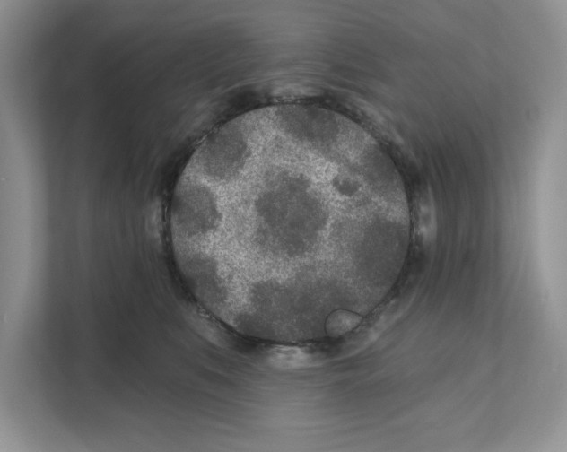 X0000110920519200907161522