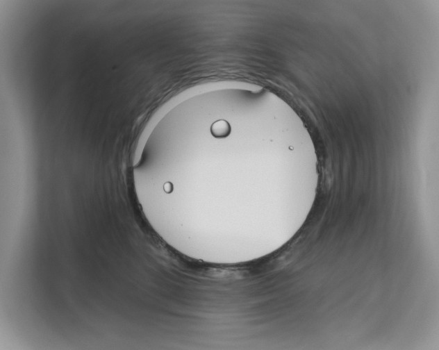 X0000110920520200907161522
